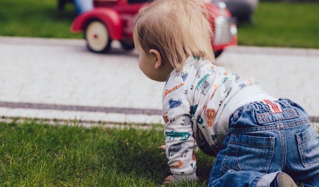 green, grass, nature, playground, people, kid, child, baby, toddler, crawling, outside